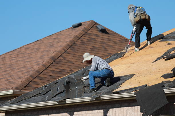Best Siding  in Laureles, TX